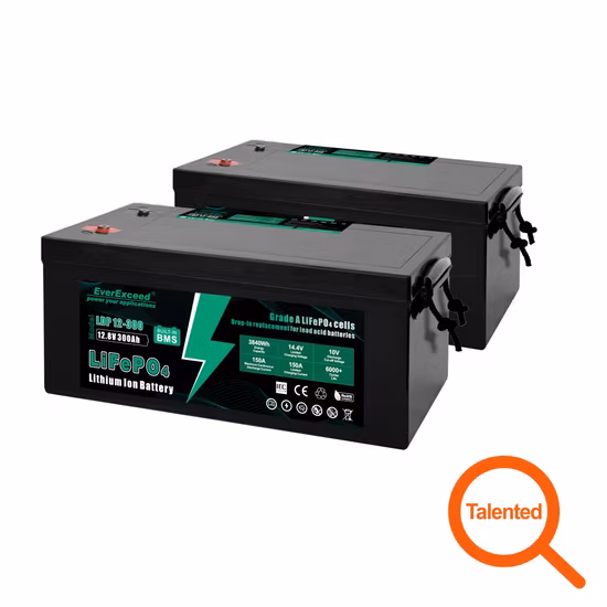 Us and Europe Most Popular Best Seller Lead Acid Replacement Solar RV Marine 12V 100ah 200ah 300ah LiFePO4 Lithium Ion Battery