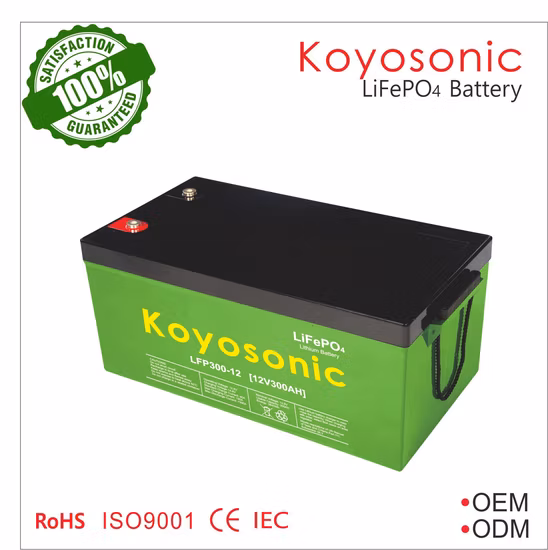 48V Lithium Battery Rack 50ah 100ah 200ah Tesla 51.2V LiFePO4 Battery 2.5kwh 5kwh 10kwh 15kwh Lithium Ion Battery Pack Li-ion Home Storage Battery Telecom UPS