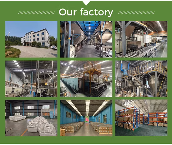 Everexceed Motive Battery System 12V 100ah - Forklift Lithium Battery